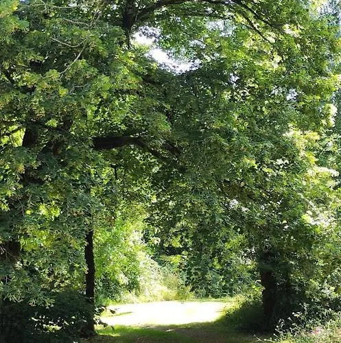 L'envol 펜션 Germond-Rouvre